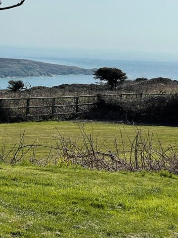 The Little Garden Hideaway With Stunning Sea Views And Garden Bed & Breakfast Holyhead Dış mekan fotoğraf