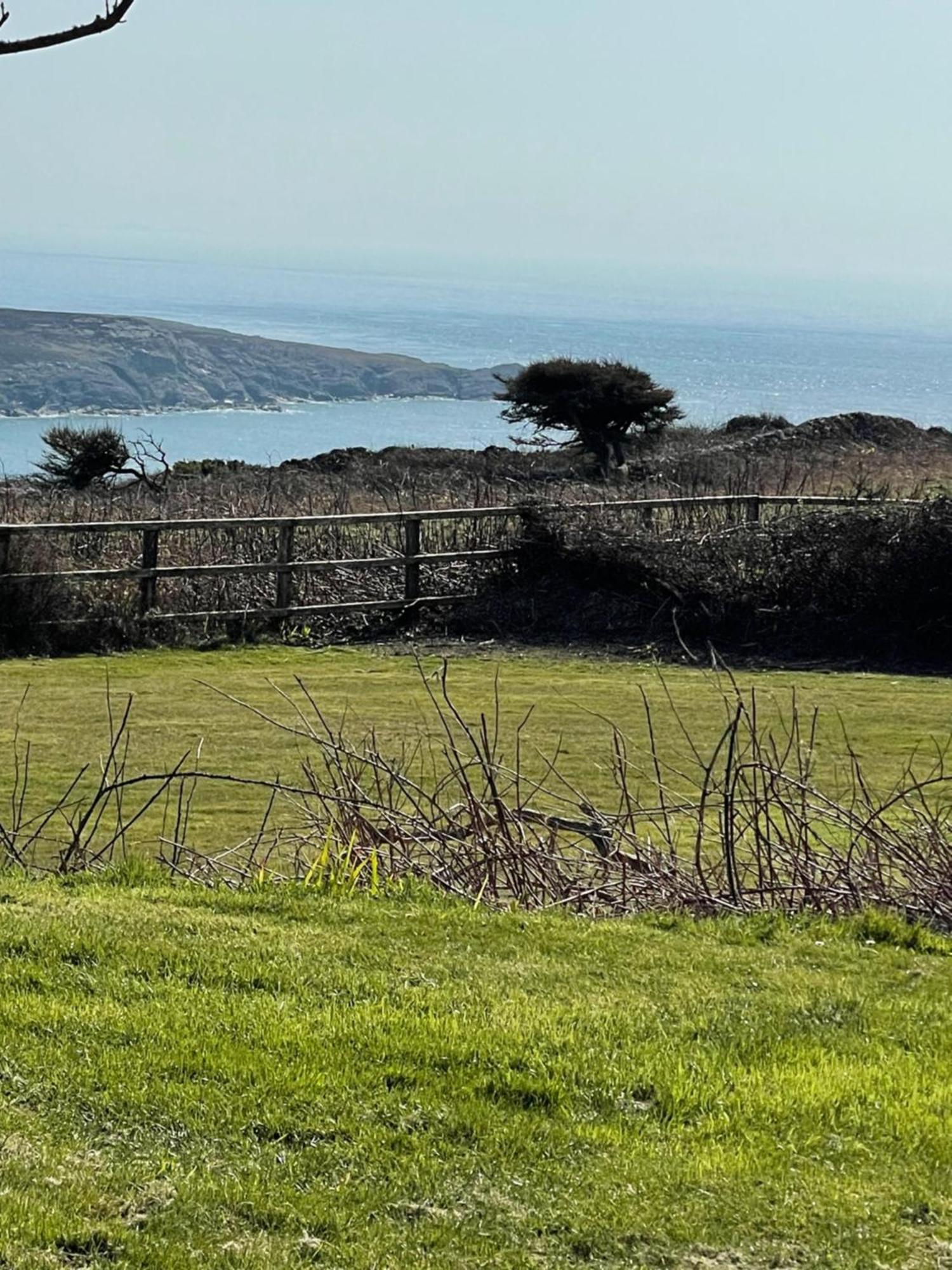 The Little Garden Hideaway With Stunning Sea Views And Garden Bed & Breakfast Holyhead Dış mekan fotoğraf
